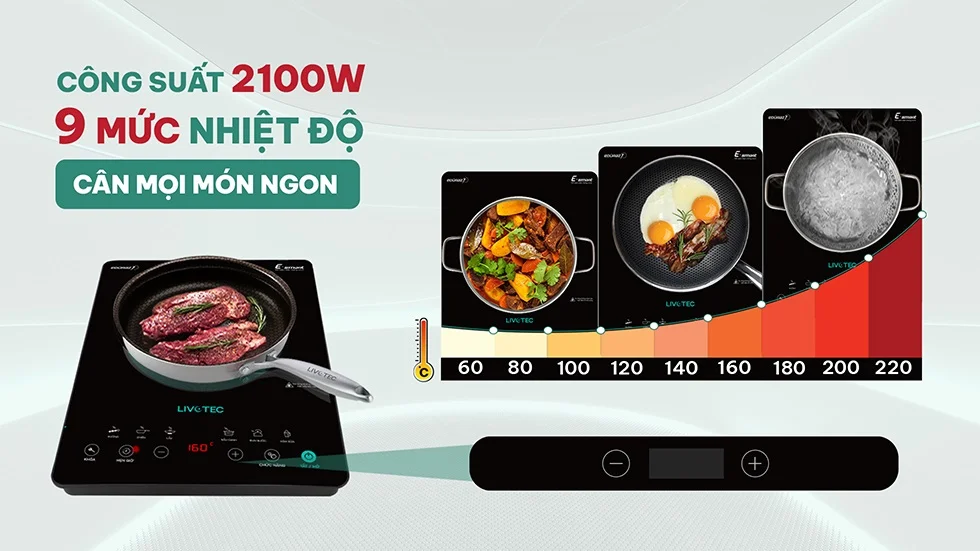 Bếp từ đơn Livotec