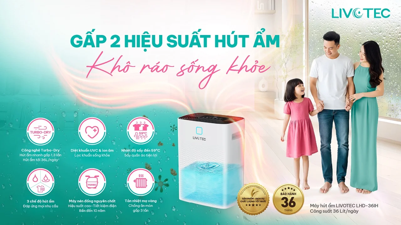 Máy hút ẩm Livotec LHD-36IU