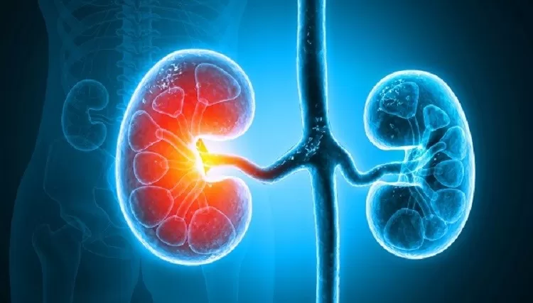 Vai trò của nước sạch