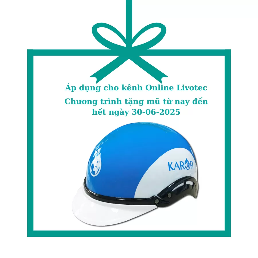 Mũ bảo hiểm Karofi